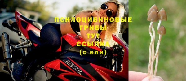 гидра Аркадак