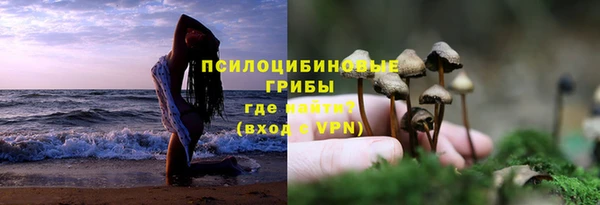 2c-b Покровск